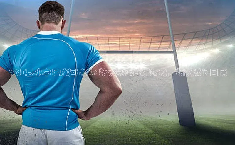 ng28相信品牌的力量登录入口天键股份平江县小学足球运动会: 精彩赛事盛况揭秘，精彩瞬间回顾