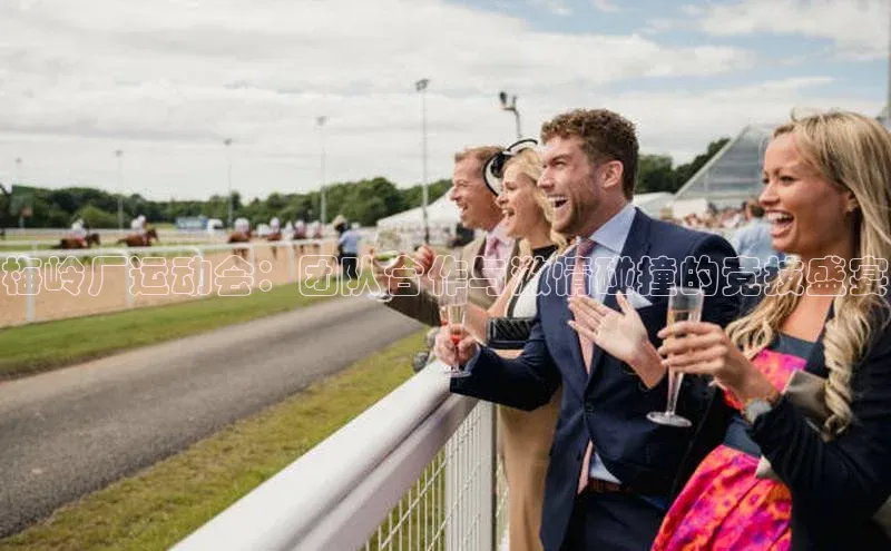 NG28.666官网版阿里尔公司梅岭厂运动会：团队合作与激情碰撞的竞技盛宴