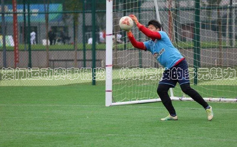 澳门运动赛事概览：体育竞技的多元魅力