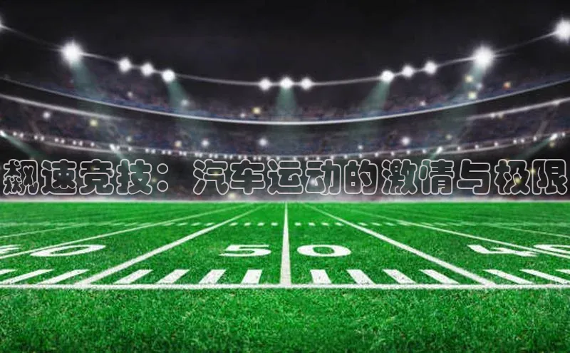 飙速竞技：汽车运动的激情与极限