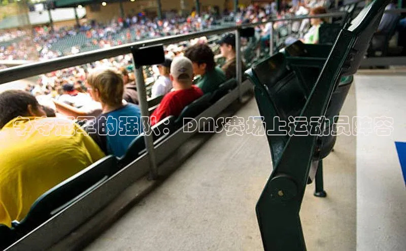 争夺冠军的强队：DMS赛场上运动员阵容