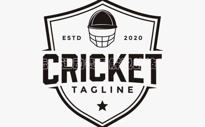 赛场风云：运动赛事解说的技巧与艺术