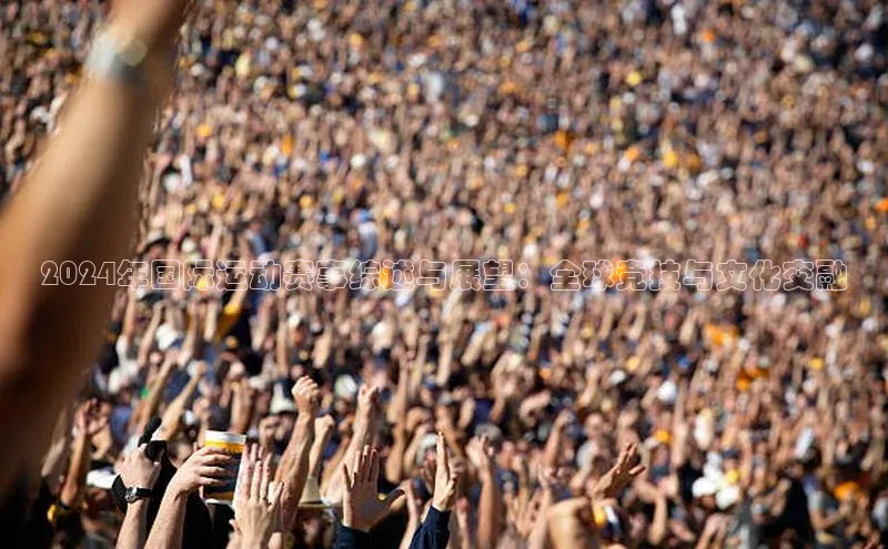 2024年国际运动赛事综述与展望：全球竞技与文化交融