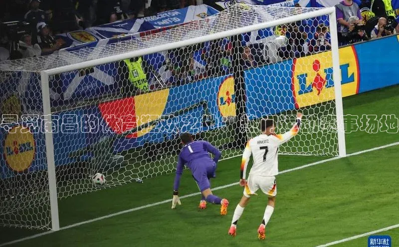 寻觅南昌的体育狂欢之地：热门运动赛事场地