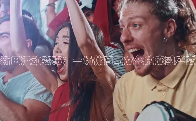 新田运动赛事：一场体育与文化的交融盛宴