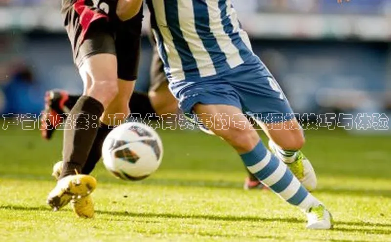 声音的盛宴：顶级体育赛事的专业播报技巧与体验