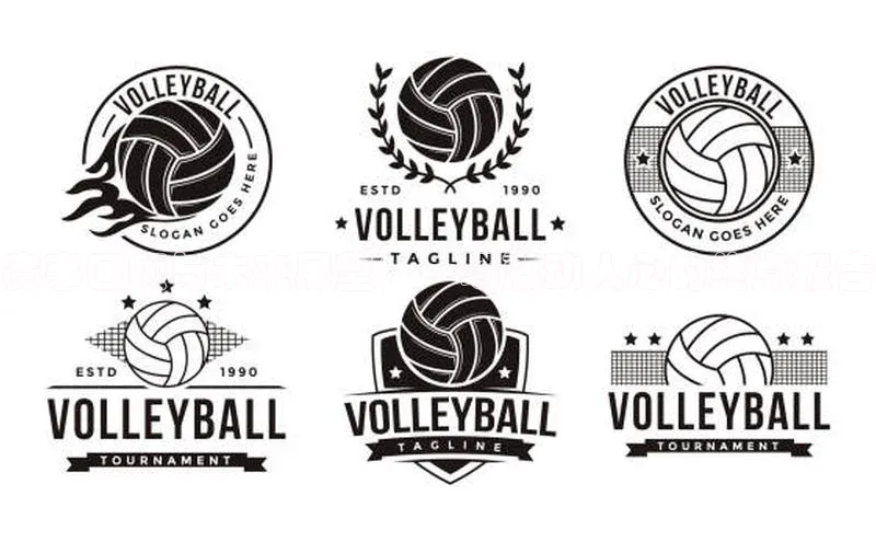 赛事回顾与未来展望：一场激动人心的终点报告