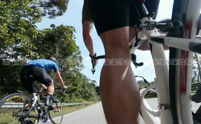 冰壶运动：一场冬季艺术与技巧的完美融合——赛事组织策略探讨