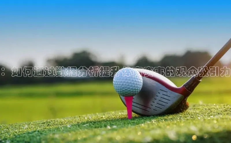 ：如何通过数据分析提升体育赛事的观众吸引力