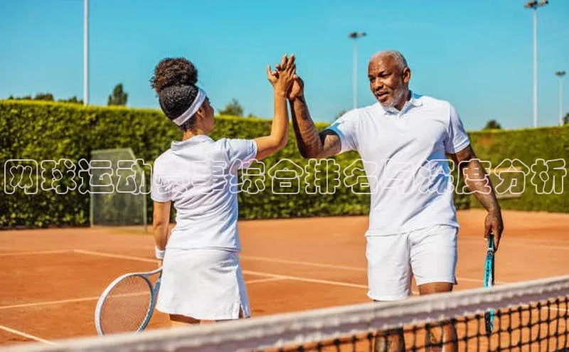 网球运动赛事综合排名与深度分析
