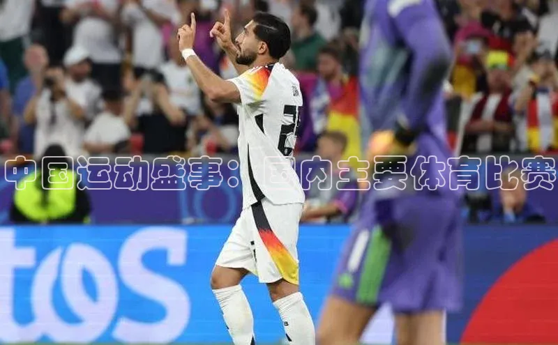 中国运动盛事：国内主要体育比赛