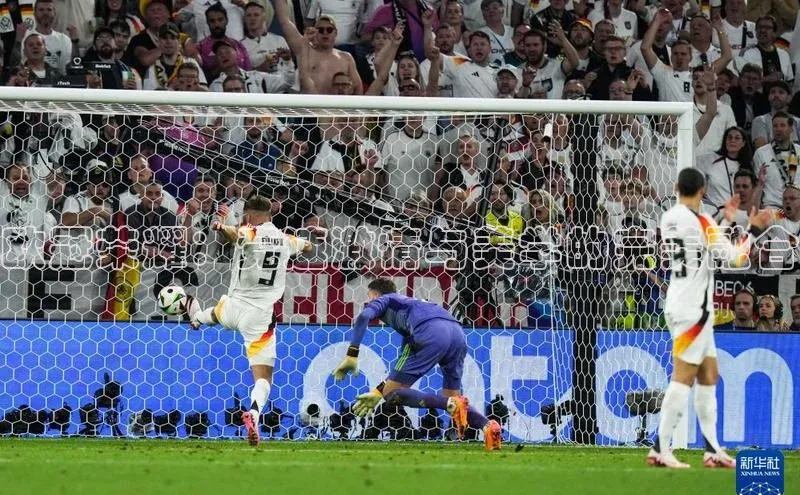 NG官网入口注册